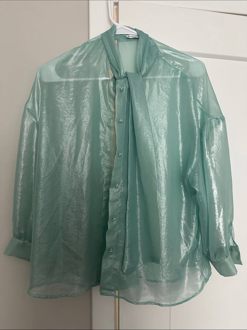 Sheer Mint Green Tie-Neck Shirt Blouse